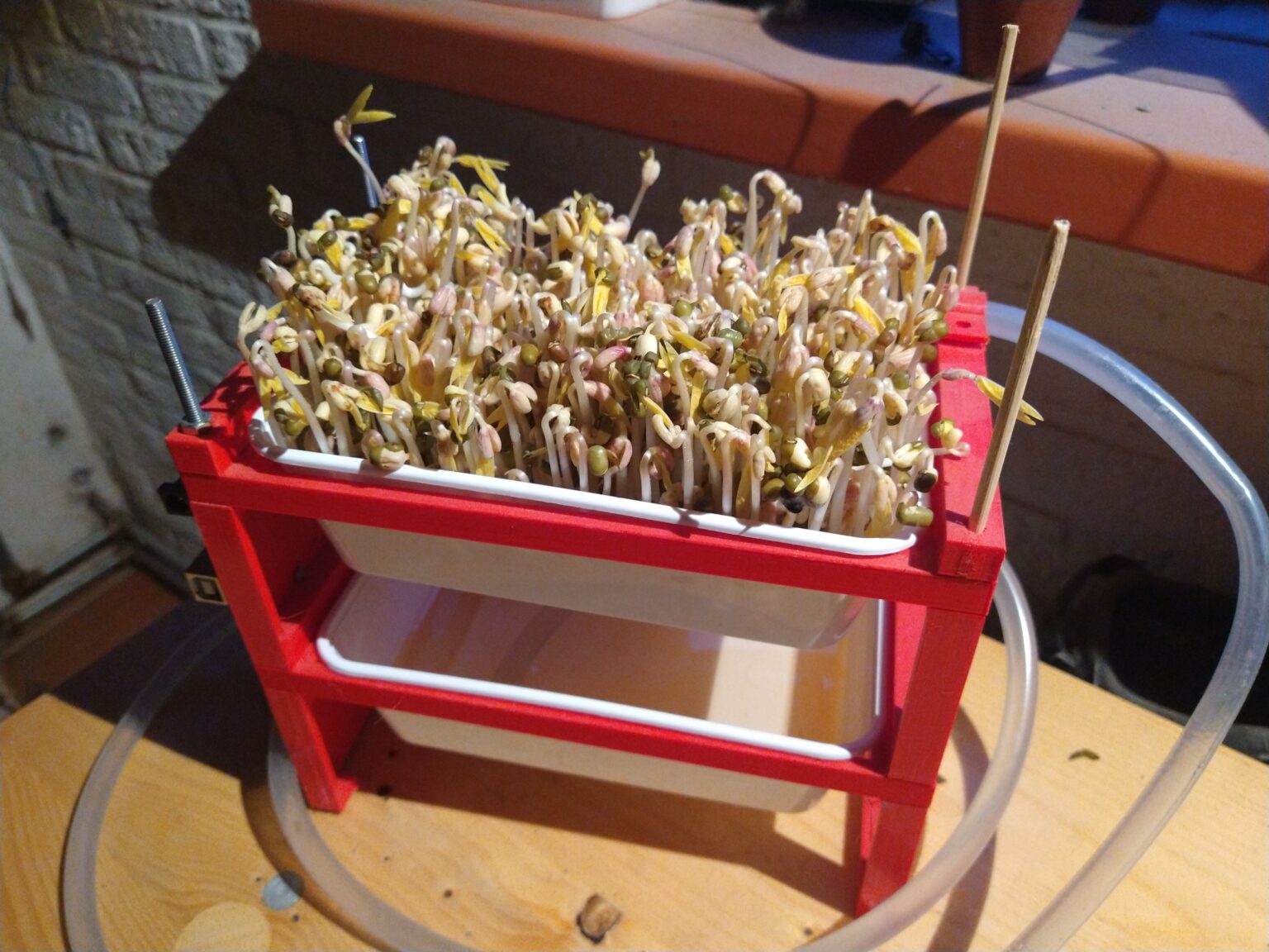 ‘Sprouts Weekly’ A machine to grow bean sprouts Ernest Neijenhuis PA3HCM Homepage